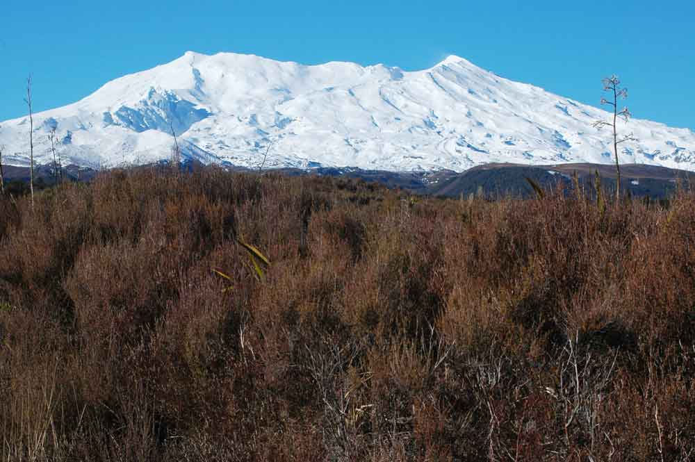 100 - Nueva Zelanda, parque nacional de Tongariro, volcan Ruapehu